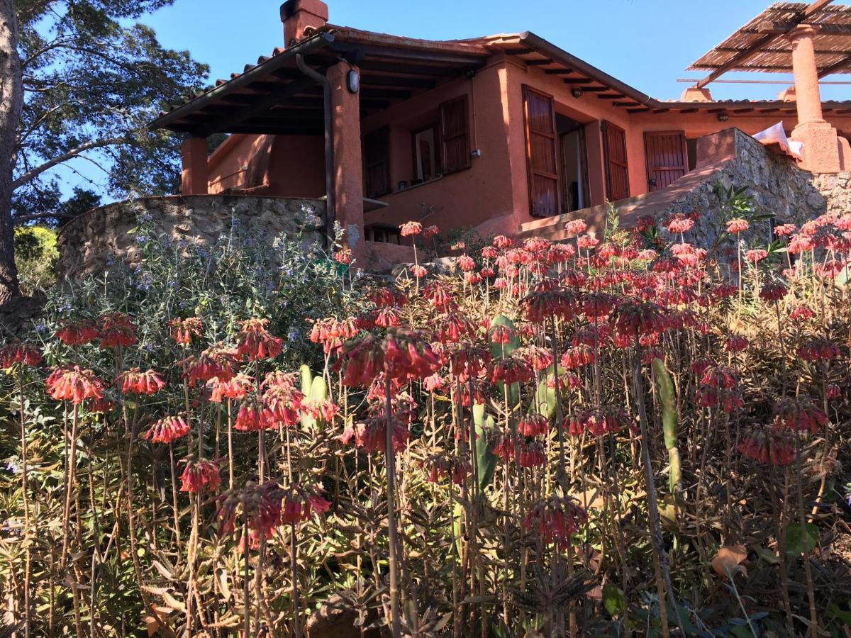 Bed and Breakfast Casa Diana Isola di Giannutri Esterno foto